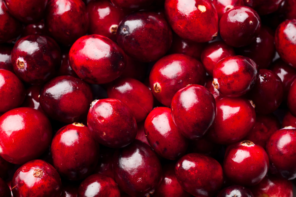 The Little Berry with Big Benefits for Women’s Health
