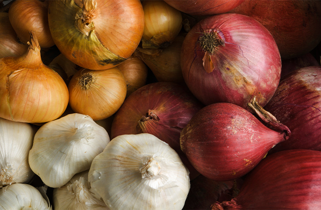 FOS & Inulin (Prebiotic Fibers)
