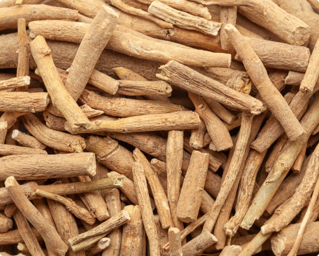 KSM-66® Ashwagandha (600mg)
