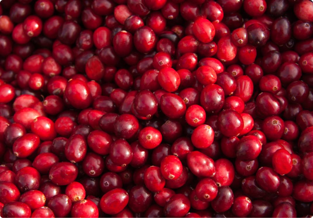 Cran d'Or™ Cranberry (500mg)