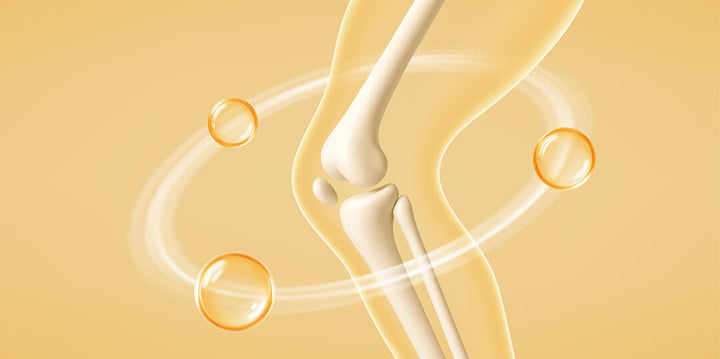<b>Healthy Bones</b>