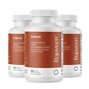 90-Day Protocol
