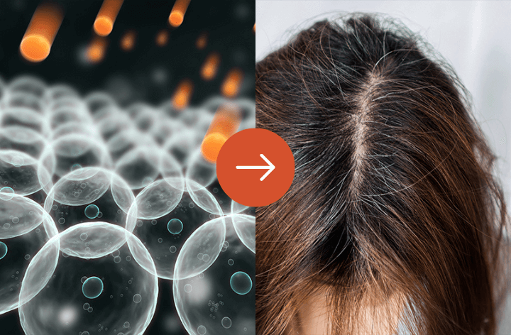 <b>TRIGGER #8: Antioxidant Depletion</b><br>System Breakdown: Free radicals oxidize follicle membranes from within