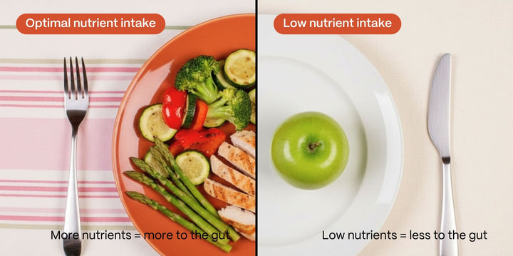 Nutrient & Appetite Changes