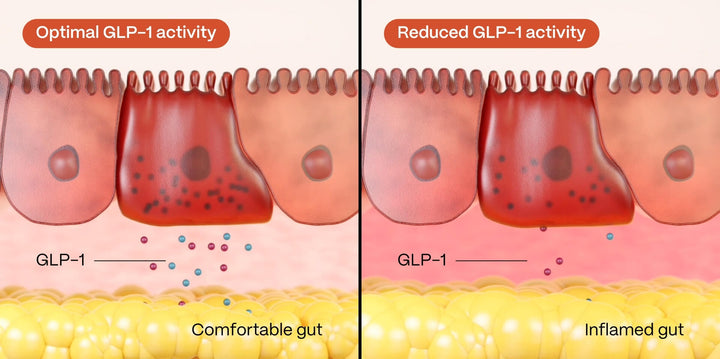 Reduced Natural GLP-1 Signaling
