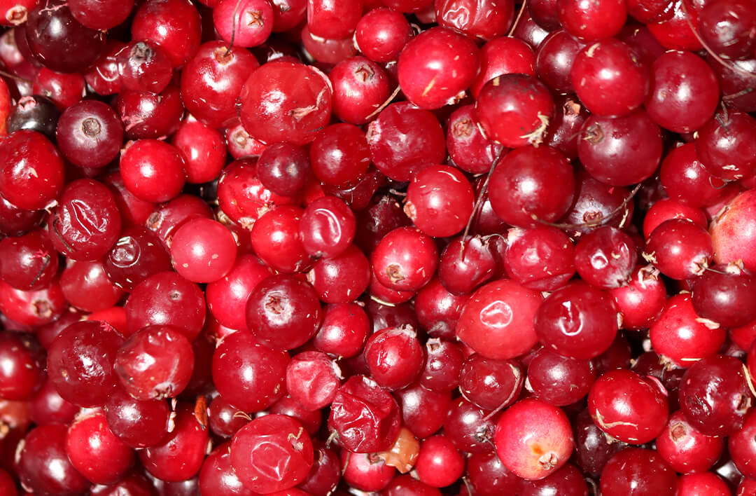 Cran D’Or™ Complete Cranberry
