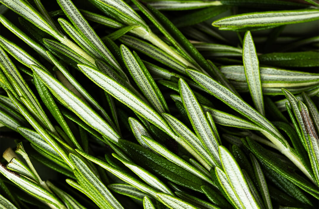 zeropollution® Botanical Complex