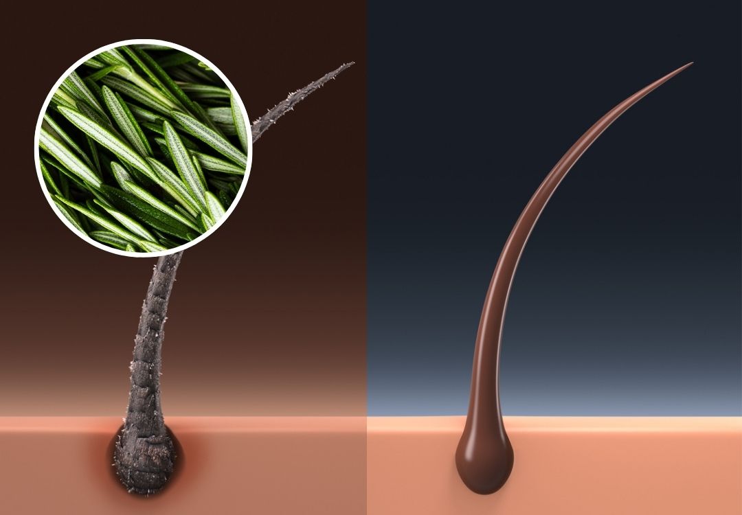 zeropollution® Botanicals